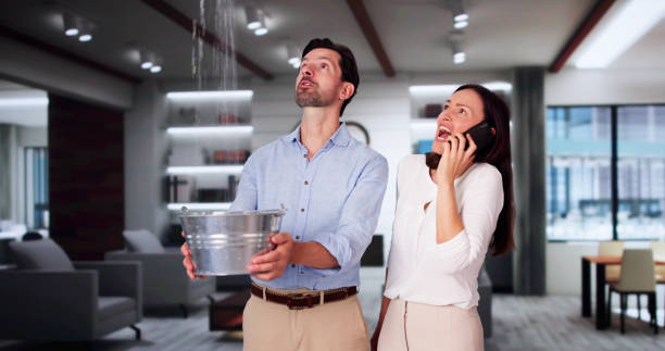 Best Basement water damage restoration  in Anthony, TX